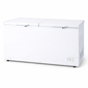 Best 510L Double Door Chest Freezer – BT-CF510WD | R600a Refrigerant | Commercial Deep Freezer
