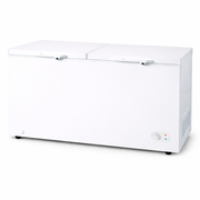 Best 700L Double Door Chest Freezer – BT-CF700WD | Commercial Deep Freezer